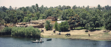 Fleuves Nil