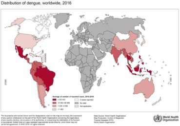 carte-dengue-2016-OMS