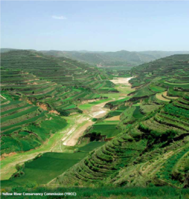 agriculture in the yellow river basin