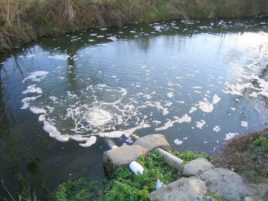 Antiobiotique_pollution-des-rivieres
