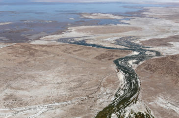 colorado river delta