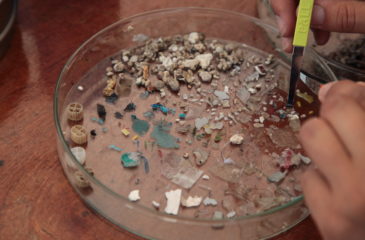 5-Echantillons-récoltés-grâce-au-filet-manta-©-Noëlie-Pansiot-Fondation-Tara-Océan