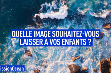 stock-photo-father-with-son-sitting-on-the-sea-pier-family-background-lifestyle-holidays-and-travel-concept-491827588 - Copie (2)u (1)