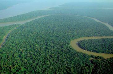 Vue du Rio Solimões - Amazone