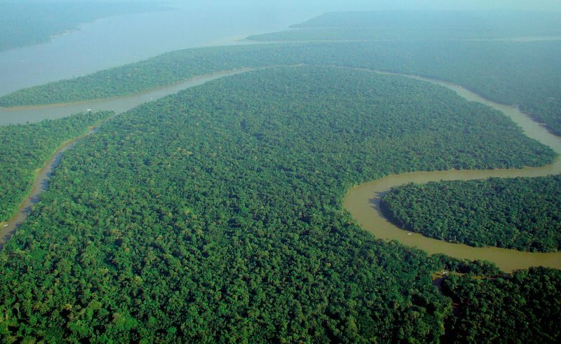 Vue du Rio Solimões - Amazone