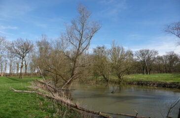 reyssouze restauration